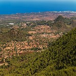 Dovolená 2025 - Mallorca