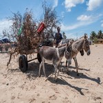 Dovolená 2025 - Isla Margarita